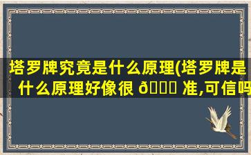 塔罗牌究竟是什么原理(塔罗牌是什么原理好像很 🐋 准,可信吗 🐎 )